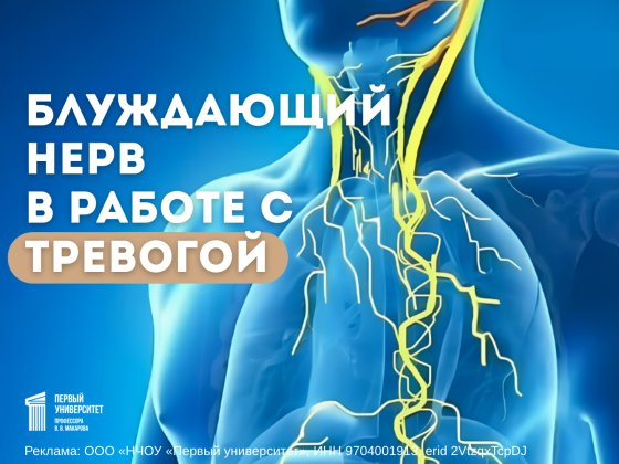 Интенсив выходного дня. Блуждающий нерв в работе с тревогой.